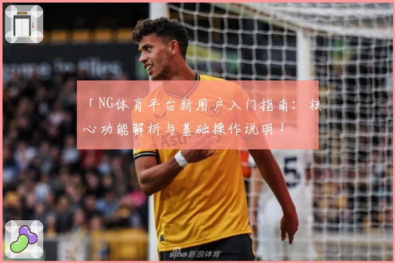 「NG体育平台新用户入门指南：核心功能解析与基础操作说明」