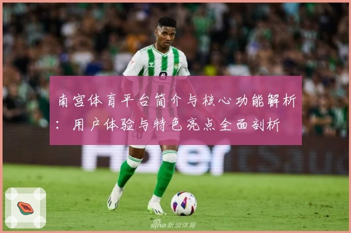 南宫体育平台简介与核心功能解析：用户体验与特色亮点全面剖析